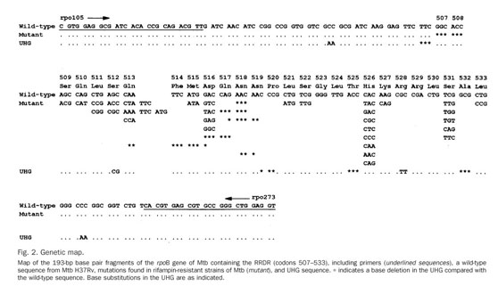 Capillary electrophoresis-based heteroduplex analysis with a 