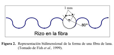 CINTA PARA MEDIR LA CIRCUNFERENCIA DEL CUERPO 15-205 cm