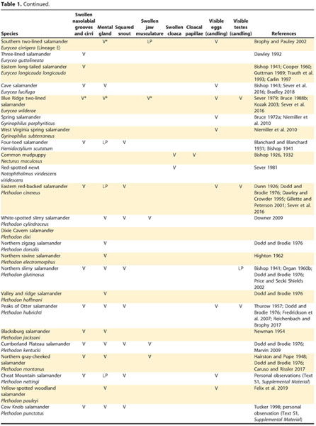 A Guide to Sexing Salamanders in Central Appalachia United States