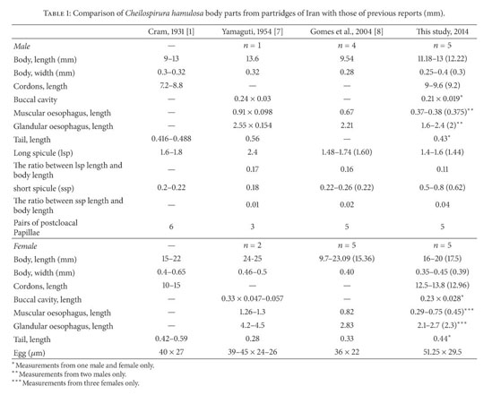 Gale Academic Onefile Document Prevalence And - 