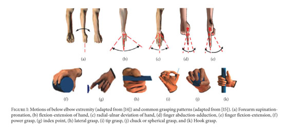 Mind-Controlled Prosthetic Hands Grasp New Feats - IEEE Spectrum