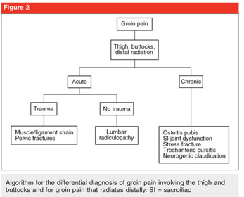 Groin Pain - Diagnosis & differential diagnosis