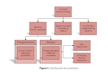 Vistasol Dental - El mal aliento, conocido como #halitosis es un problema  que afecta la seguridad de muchas personas y por ende su relación con los  demás, por ello siempre están en