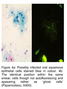 Fencott Cytological Fixative