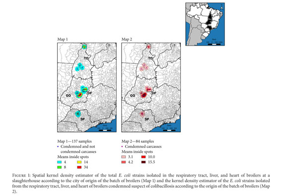 Phylogenetic Group of Escherichia coli Isolates from Broilers in 