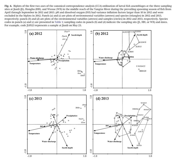 Gale Academic Onefile Document Longitudinal Recovery Gradients Of Drifting Larval Fish Assemblages In The Middle Reach Of The Yangtze River Impact Of The Three Gorges Dam And Conservation Implementation