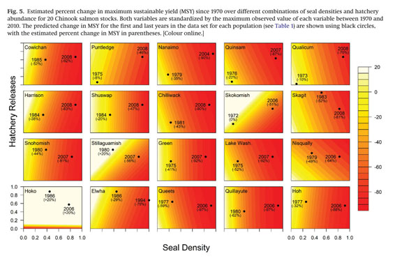 Wild Chinook Salmon Productivity Is Negatively Related To Seal Density And Not Related To Hatchery Releases In The Pacific Northwest Document Gale Academic Onefile