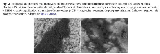 Poudre de lait écrémé 0% adaptée aux applications industrielles