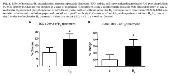 Gale Academic Onefile Document Molecular Hydrogen Potential In Mitigating Oxidative Stress Induced Radiation Injury