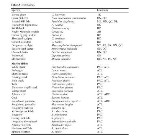 Bering cisco (Coregonus laurettae) COSEWIC assessment and status