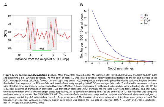 DLA-454 strategy to obtain sequences flanking Mu elements (A) DLA was