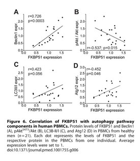 gale academic onefile document association of fkbp51 with priming of autophagy pathways and mediation of antidepressant treatment response evidence in cells mice and humans antidepressant treatment