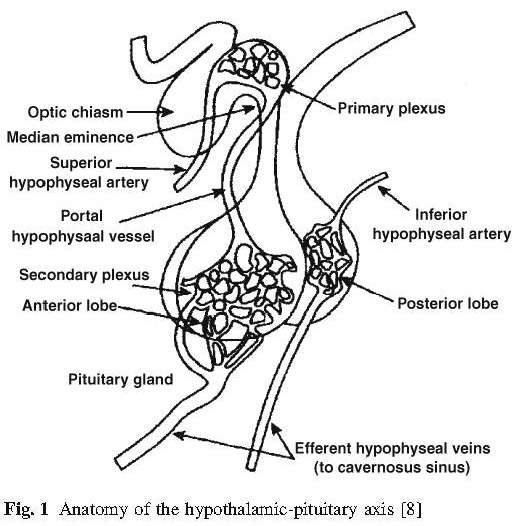 Dysfunction hypothalamic Hypothalamic dysfunction