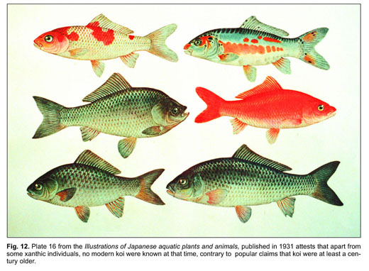 The oldest domesticated fishes, and the consequences of an epigenetic  dichotomy in fish culture. - Document - Gale Academic OneFile