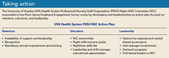 Nursing Service Cross (NSC)