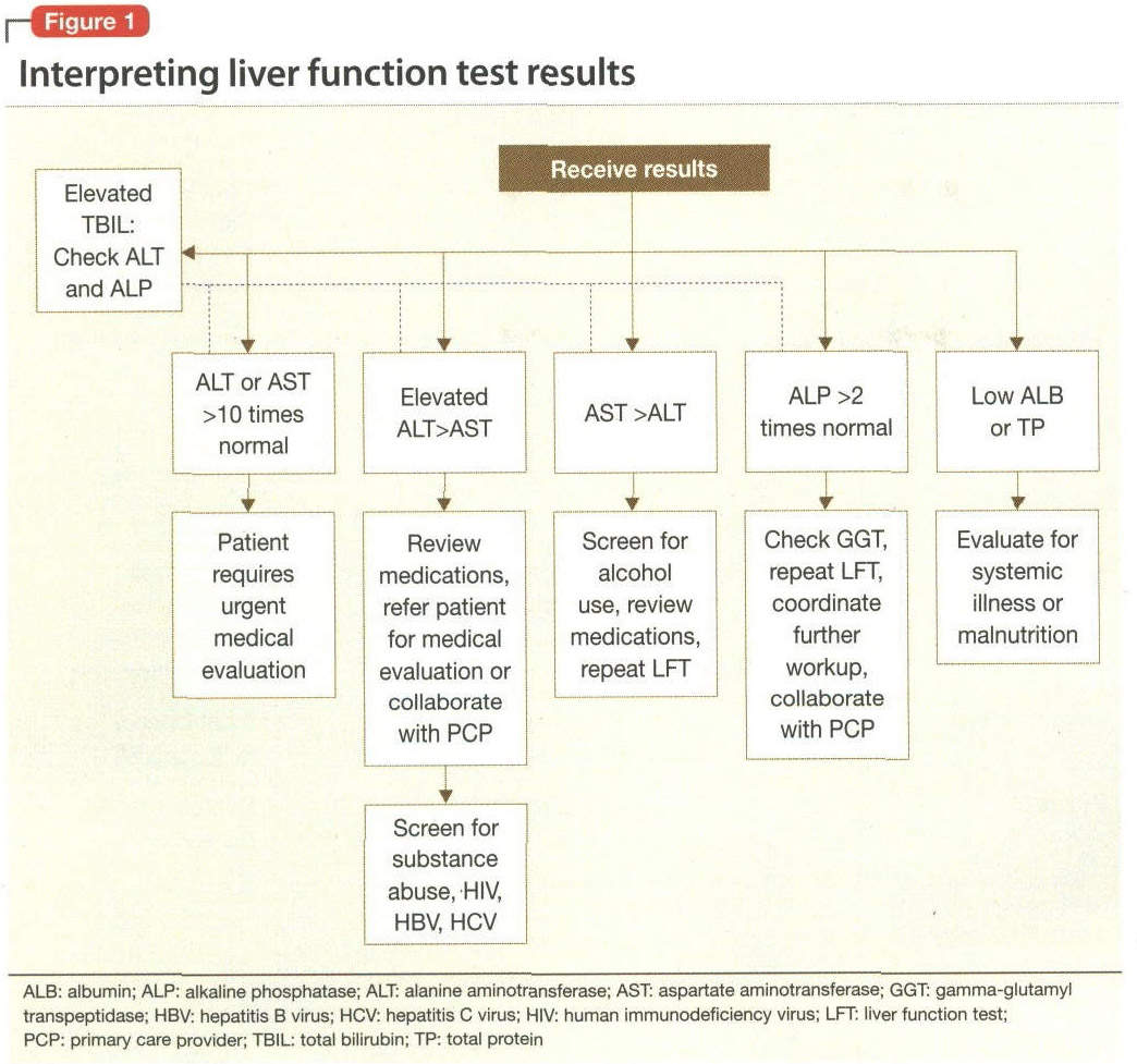Interpreting Liver Function Tests Patients Elevated Lft Results Can Indicate Hepatocyte Injury Cholestasis Or Both Document Gale Academic Onefile