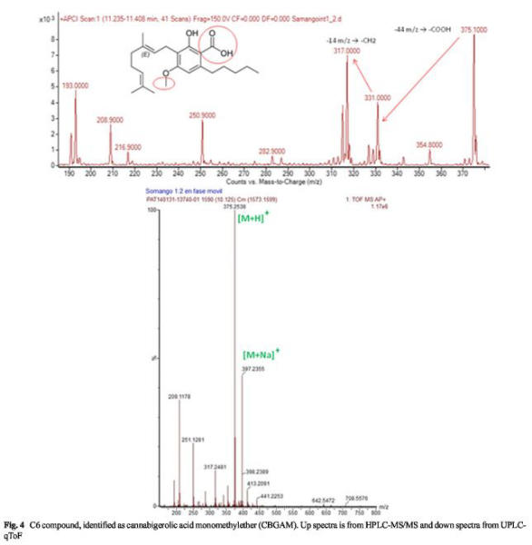 Identification and quantification of cannabinoids in Cannabis