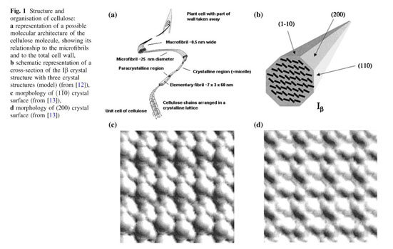 Effects of organoclay-carnauba wax and two commercial waxes coatings on