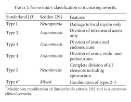 Peripheral Nerve Reconstruction After Injury A Review Of Clinical And Experimental Therapies Document Gale Academic Onefile