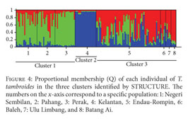 Genetic structure and preliminary findings of cryptic diversity of 