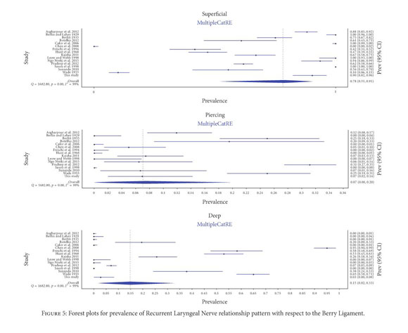 Gale Academic Onefile Document The Reliability Of The Tracheoesophageal Groove And The Ligament Of Berry As Landmarks For Identifying The Recurrent Laryngeal Nerve A Cadaveric Study And Meta Analysis