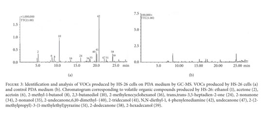 Gale Academic Onefile Document Isolation And Characterization Of Antagonistic Bacteria Paenibacillus Jamilae Hs 26 And Their Effects On Plant Growth