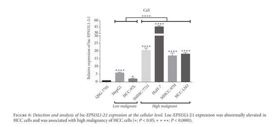 A Noninvasive Prediction Nomogram For Lymph Node Metastasis Of Hepatocellular Carcinoma Based On Serum Long Noncoding Rnas Document Gale Academic Onefile