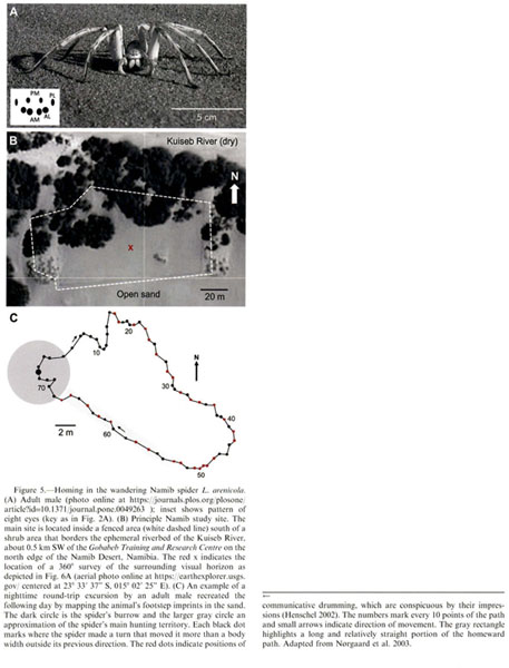 Age of Laboratory Hamster and Human: Drawing the Connexion - Document -  Gale Academic OneFile