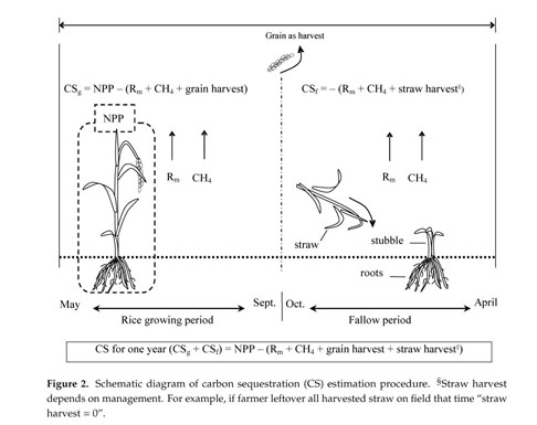 Carbon Sequestration And Contribution Of C O Sub 2 C H Sub 4 And N Sub 2 O Fluxes To Global Warming Potential From Paddy Fallow Fields On Mineral Soil Beneath Peat In Central Hokkaido Japan Document Gale Academic Onefile