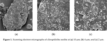 Clinoptilolite Zeolite on Tropical Peat Soils Nutrient, Growth 