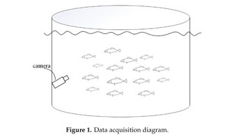 Automatic Fish Population Counting By Machine Vision And A Hybrid Deep Neural Network Model Document Gale Academic Onefile