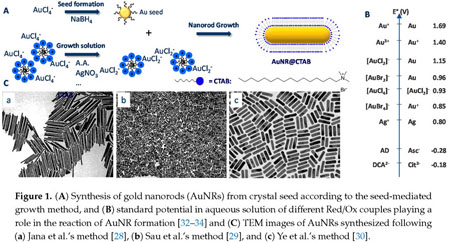 Gold Nanorods For Lspr Biosensing Synthesis Coating By Silica And Bioanalytical Applications Document Gale Academic Onefile