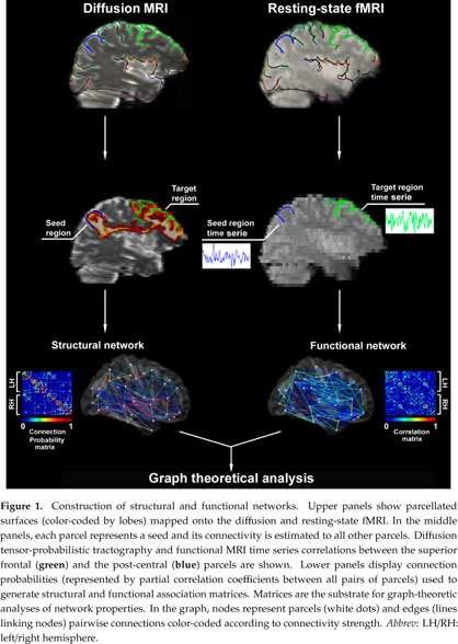 The vagus afferent network: emerging role in translational connectomics in:  Neurosurgical Focus Volume 45 Issue 3 (2018) Journals