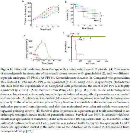 Pancreatic Cancer Pdac Introduction Of Evidence Based Complementary Measures Into Integrative Clinical Management Document Gale Academic Onefile