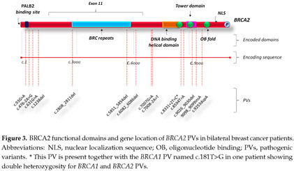 Gene-Panel Sequencing and the Prediction of Breast-Cancer Risk