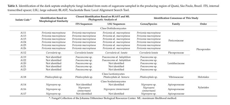 Gale Academic Onefile Document Dark Septate Endophytic Fungi Associated With Sugarcane Plants Cultivated In Sao Paulo Brazil