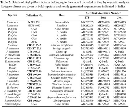 Diversity And Pathogenicity Of Phytophthora Species Associated With Declining Alder Trees In Italy And Description Of Phytophthora Alpina Sp Nov Document Gale Academic Onefile