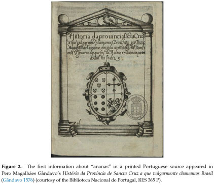 Gale Academic Onefile Document The Natural Frontiers Of A Global Empire The Pineapple Ananas Comosus In Portuguese Sources Of The 16th Century