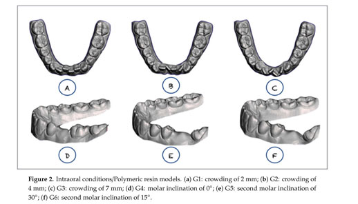 Dental Precision Measuring Ruler – Dentiphoto