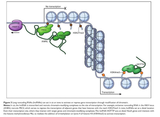 Epigenetics and stroke risk--beyond the static DNA code - Document