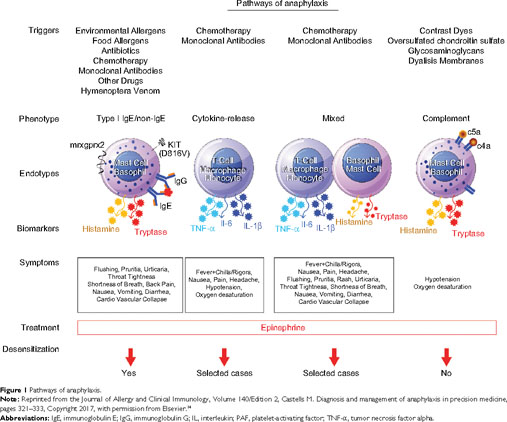 Anaphylaxis in the 21st century: phenotypes, endotypes, and biomarkers -  Document - Gale OneFile: Health and Medicine