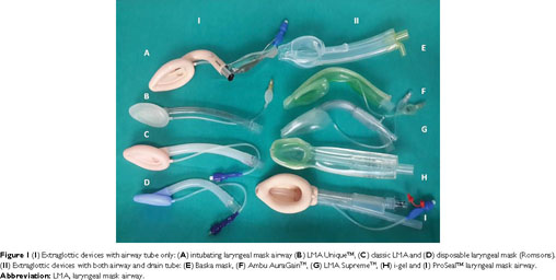 Extraglottic airway devices: technology update - Document - Gale