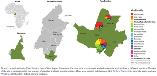 The heatmap of RVA or RVC infection compared with control. (A) The