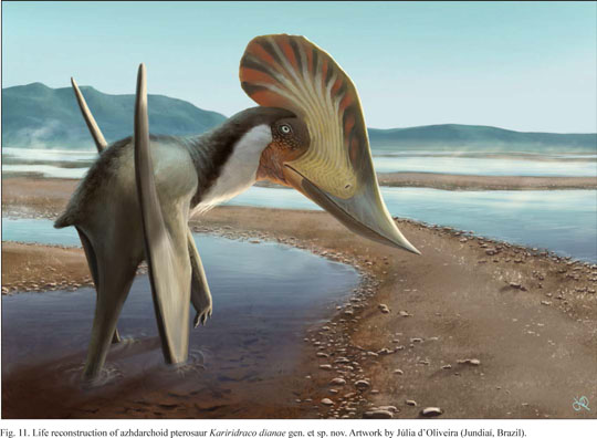 PDF] A New Crested Pterosaur from the Early Cretaceous of Spain: The First  European Tapejarid (Pterodactyloidea: Azhdarchoidea)
