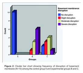 Effect of Lead Acetate on Basement Membrane of Seminiferous 