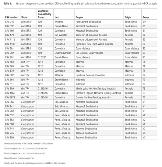 Pathogenicity Associated Genes In Fusarium Oxysporum F Sp Cubense Race 4 Document Gale Academic Onefile