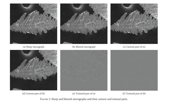 No Reference Quality Assessment Method For Blurriness Of Sem Micrographs With Multiple Texture Document Gale Academic Onefile