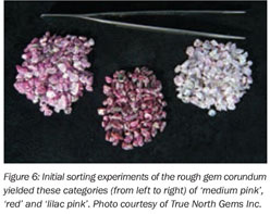 Pink Gems  Bollywood Borrowed