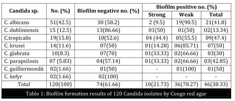 anspore Rubin Legitimationsoplysninger Evaluation of Congo Red Agar for detection of biofilm production by various  clinical Candida isolates - Document - Gale OneFile: Health and Medicine