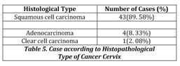 MENOPAUSE AND CERVICAL CANCER--DESCRIPTIVE STUDY OF PRESENTATION